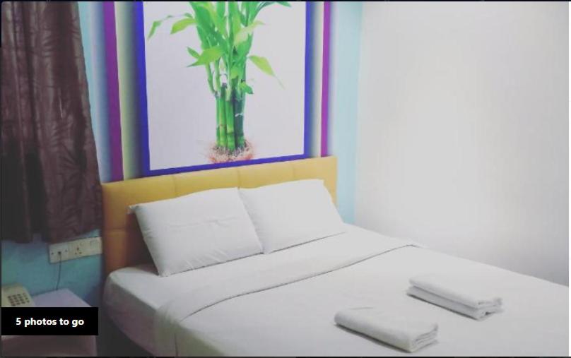 デラックスルーム, Swan Cottage