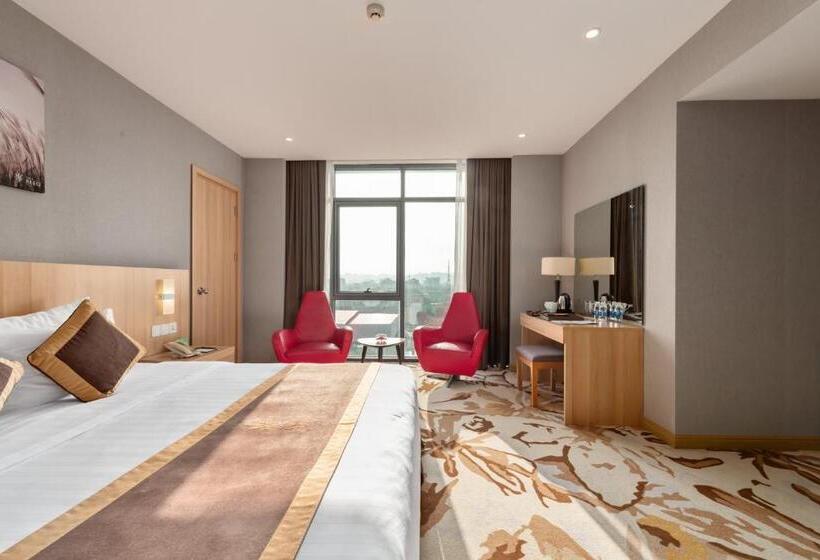 اتاق پرمیوم, The Reed