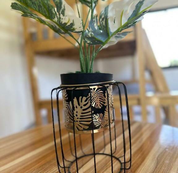 패밀리 룸, Hidden Paradise Stay Panglao