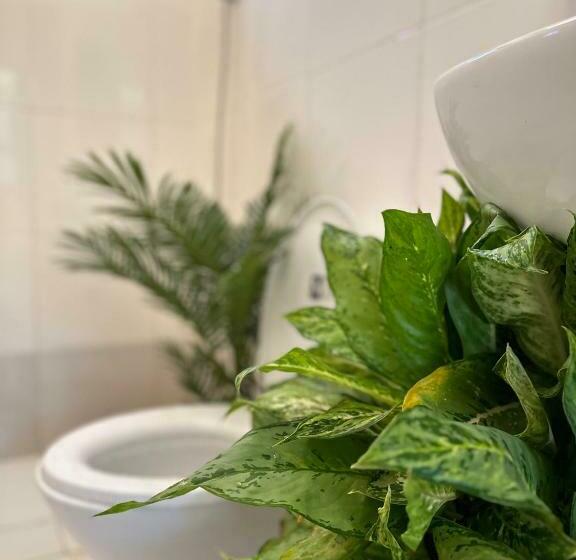 가든 전망 싱글룸, Hidden Paradise Stay Panglao