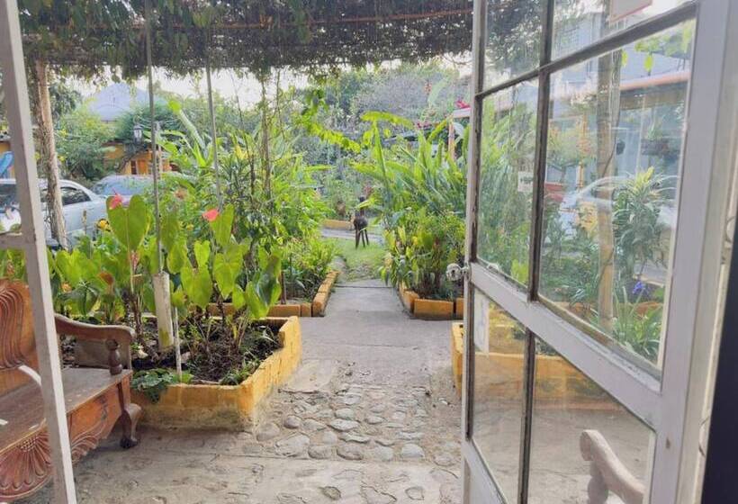 اتاق عادی, Hanna Resort