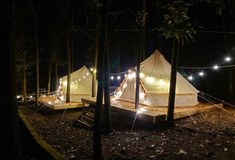چادر با خدمات رفاهی استاندارد, Viewest Glamping Dong Mo