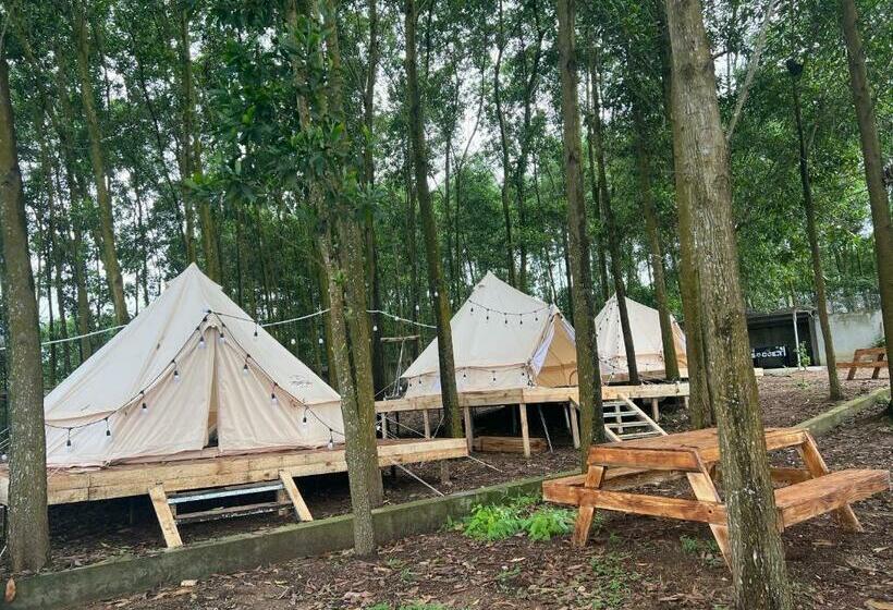 چادر با خدمات رفاهی استاندارد, Viewest Glamping Dong Mo