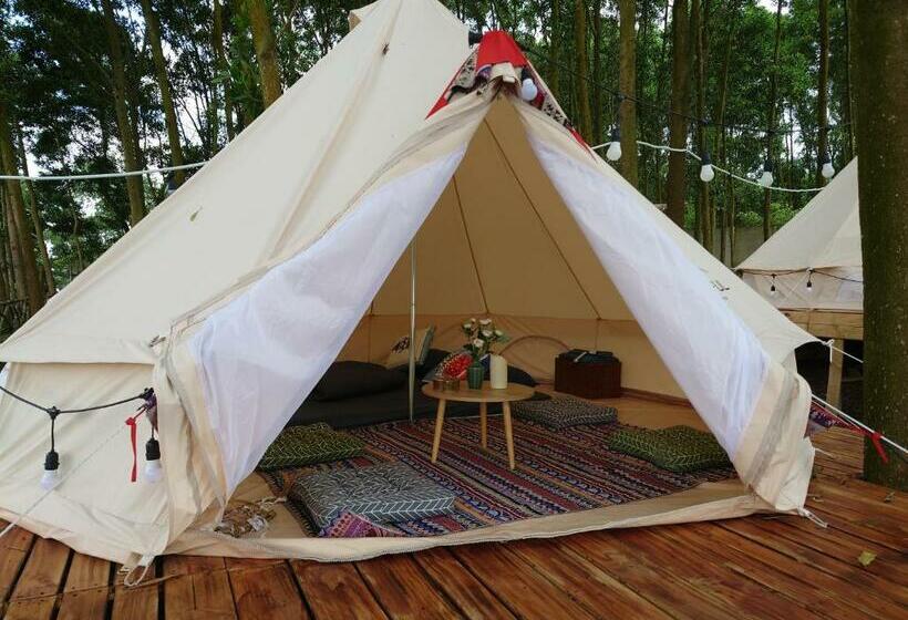 چادر با خدمات رفاهی استاندارد, Viewest Glamping Dong Mo