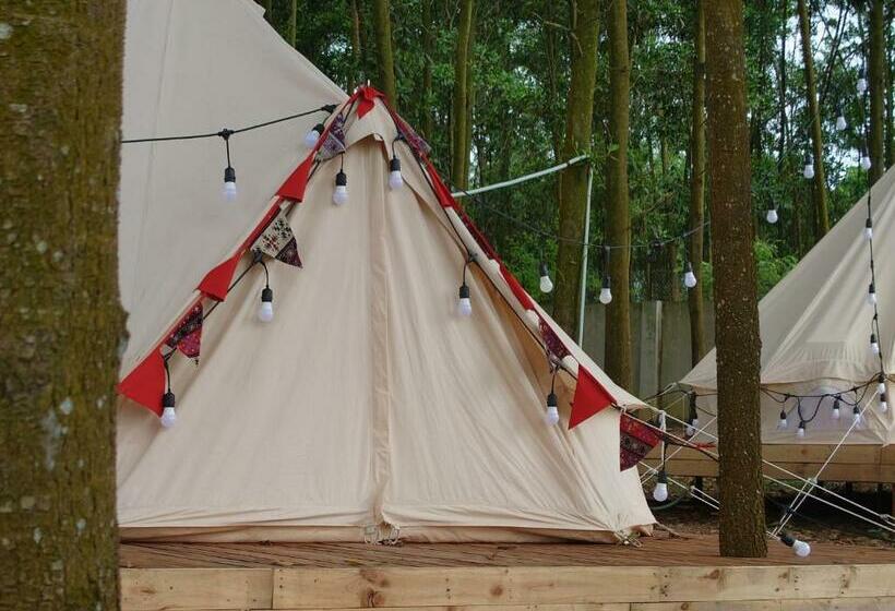 چادر با خدمات رفاهی استاندارد, Viewest Glamping Dong Mo