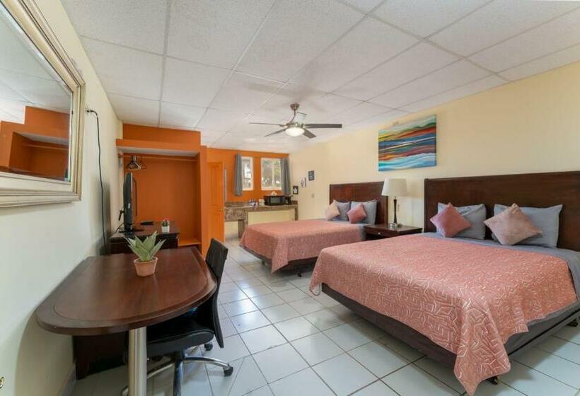 スタンダードルーム, El Faro Loreto