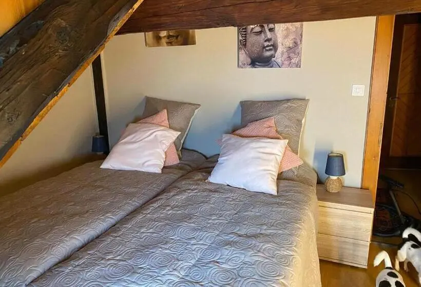 Apartamento 2 Dormitórios, La Favela