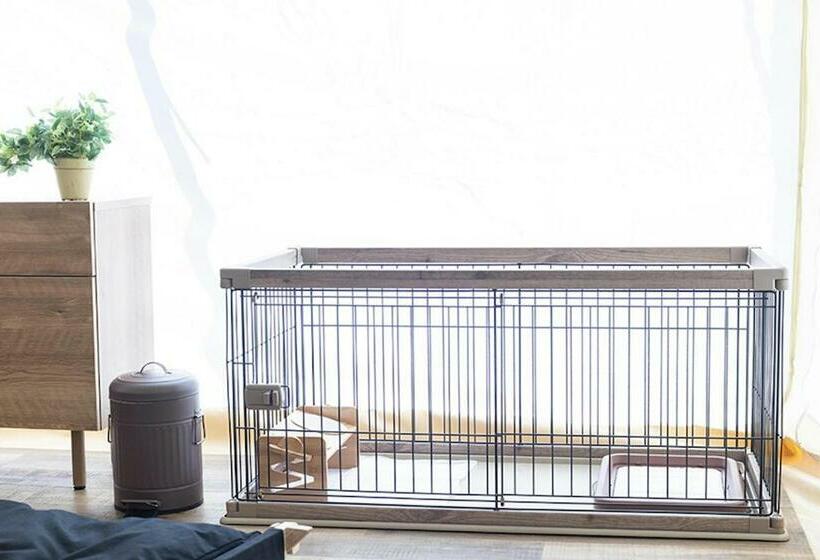 浴室共有ファミリールーム, Glamping&port結