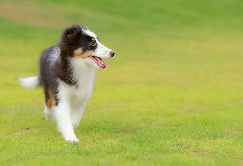 浴室共有ファミリールーム, Glamping&port結