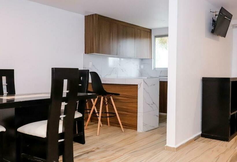 شقة ديلوكس غرفة نوم واحدة, Alambique Hotel Express