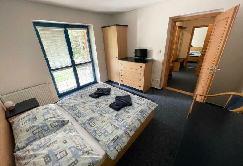 家庭工作室, Penzion Pod Smrkem