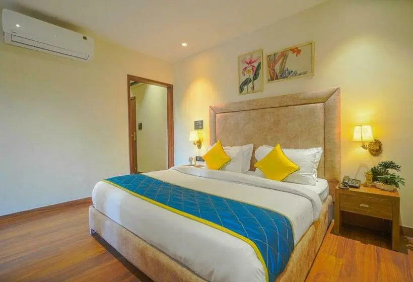 Suite, Escala By Levelup