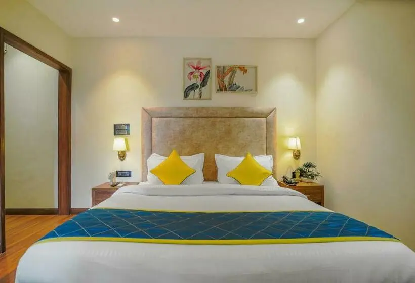 Suite, Escala By Levelup