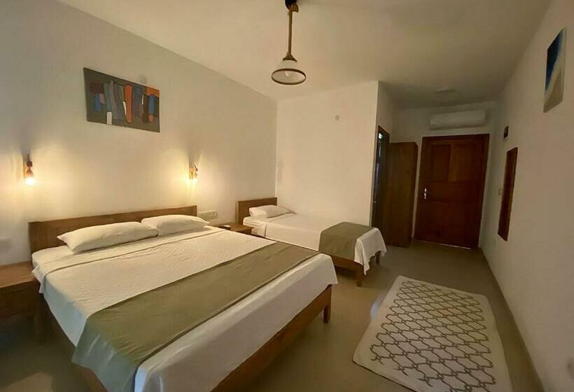 Camera Tripla Standard, Nirvana Boutique