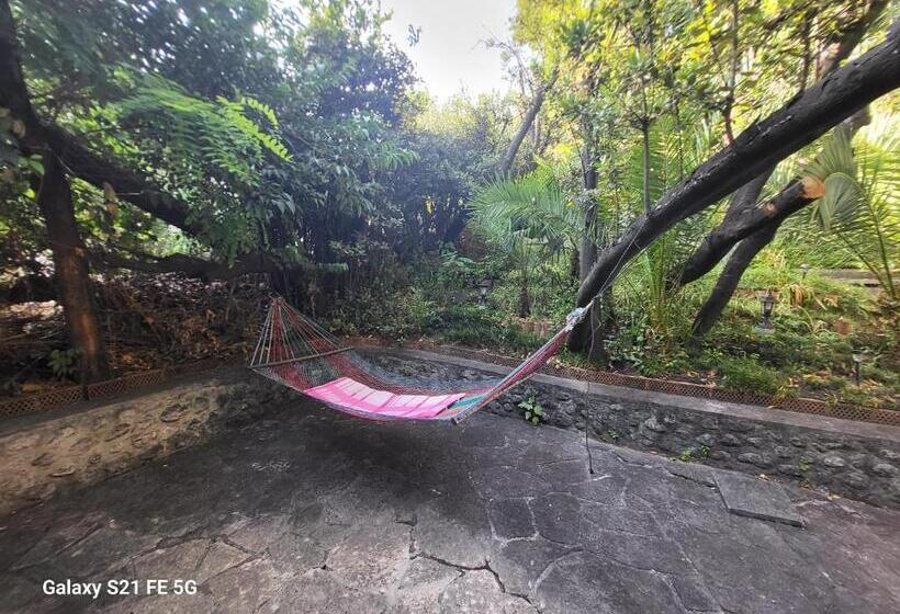 اتاق استاندارد, Lovorika