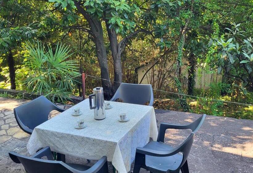 اتاق استاندارد, Lovorika