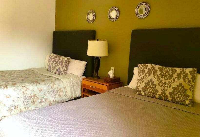 스탠다드 룸, Las Bugambilias