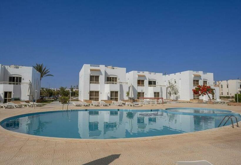 Deluxerum Poolutsikt, Olives At Santa Monica