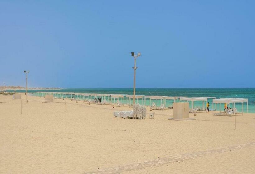 Juniorsvit Trädgårdsutsikt, Olives At Santa Monica