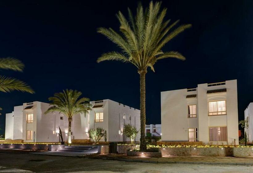 Juniorsvit Trädgårdsutsikt, Olives At Santa Monica