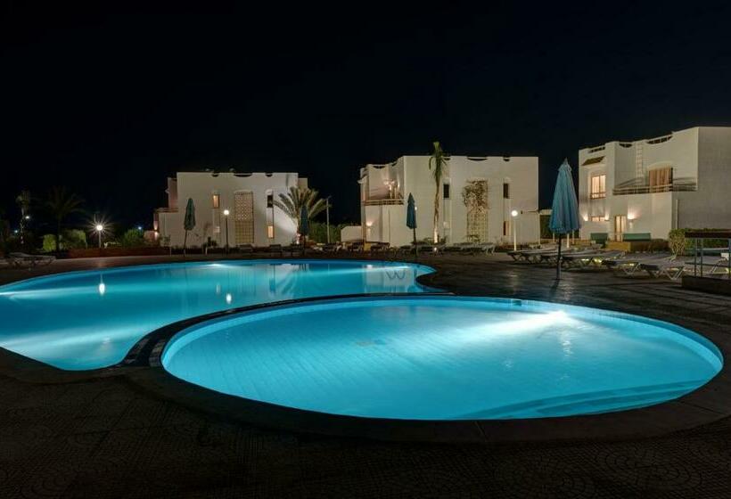 Juniorsvit Poolutsikt, Olives At Santa Monica