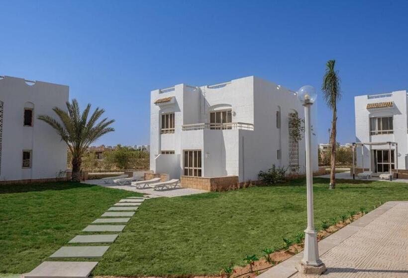 Deluxerum Poolutsikt, Olives At Santa Monica