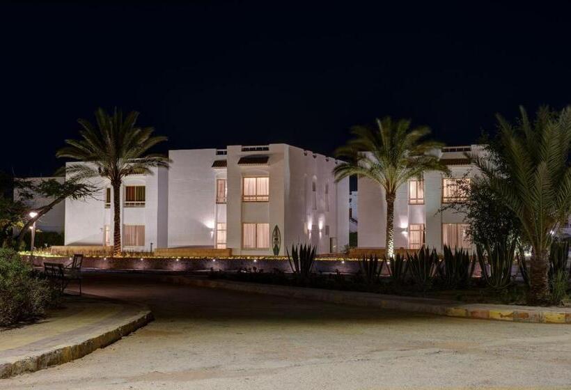 Juniorsvit Trädgårdsutsikt, Olives At Santa Monica