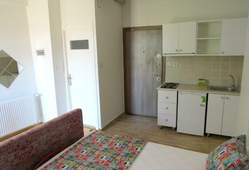 إستديو قياسى مزود بشرفة, Istanberry   Vanilla Apartments