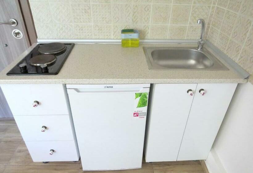 إستديو قياسى مزود بشرفة, Istanberry   Vanilla Apartments