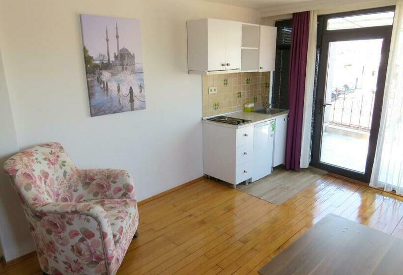 إستوديو ديلوكس, Istanberry   Vanilla Apartments