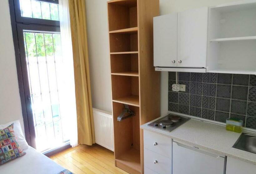 إستوديو قياسى مزودة بتراس, Istanberry   Vanilla Apartments