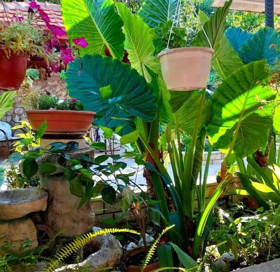 Апартаменты 2 Спальни, Guesthouse Gavrilović 28 A