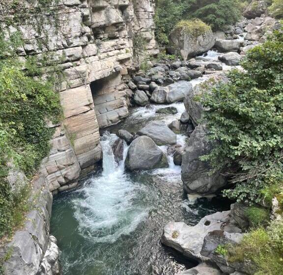 デラックスファミリールーム, Karadeniz Kuş Cenneti Kaşıkçı