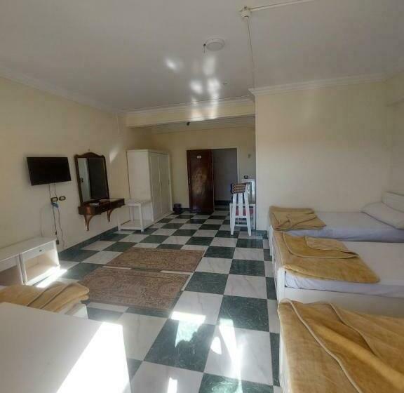 اتاق استاندارد چهار تخته با چشمانداز دریا, Delmon