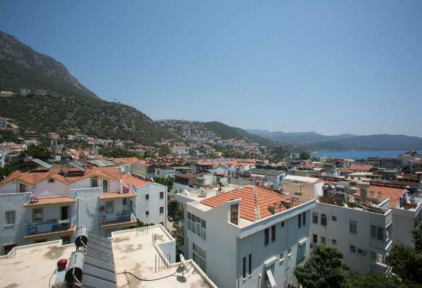 اتاق سوپریور, Pastel Rooms