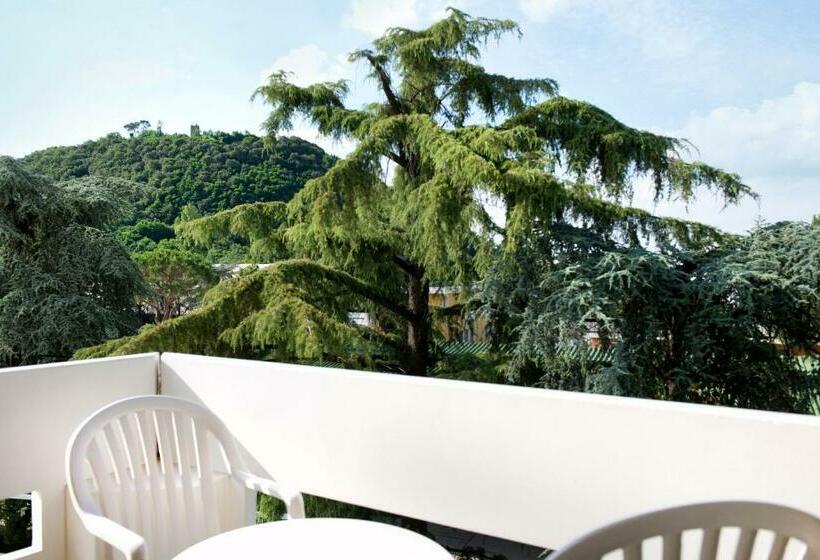 발코니 스탠다드 싱글 룸, Apollo Terme