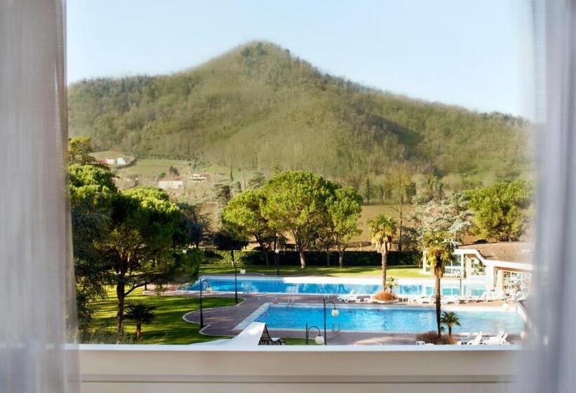 풀장 전망 싱글룸, Apollo Terme