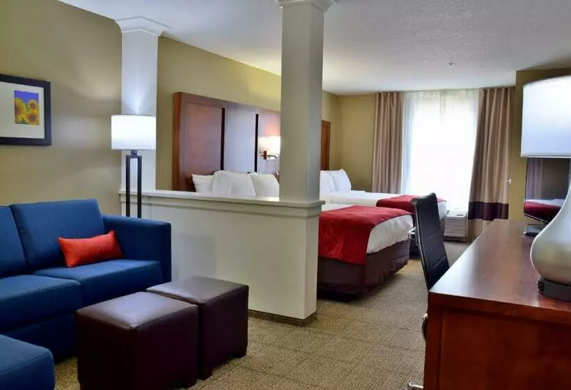 スイート, Comfort Suites Dunnellon Near Rainbow Springs