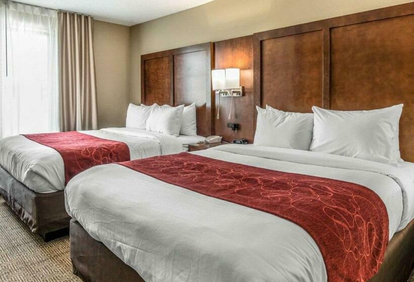 جناح, Comfort Suites Dunnellon Near Rainbow Springs