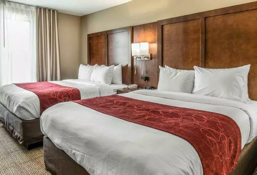 スイート, Comfort Suites Dunnellon Near Rainbow Springs