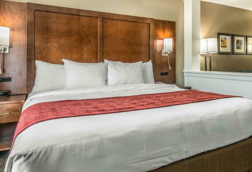 스위트 킹사이즈 침대, Comfort Suites Dunnellon Near Rainbow Springs