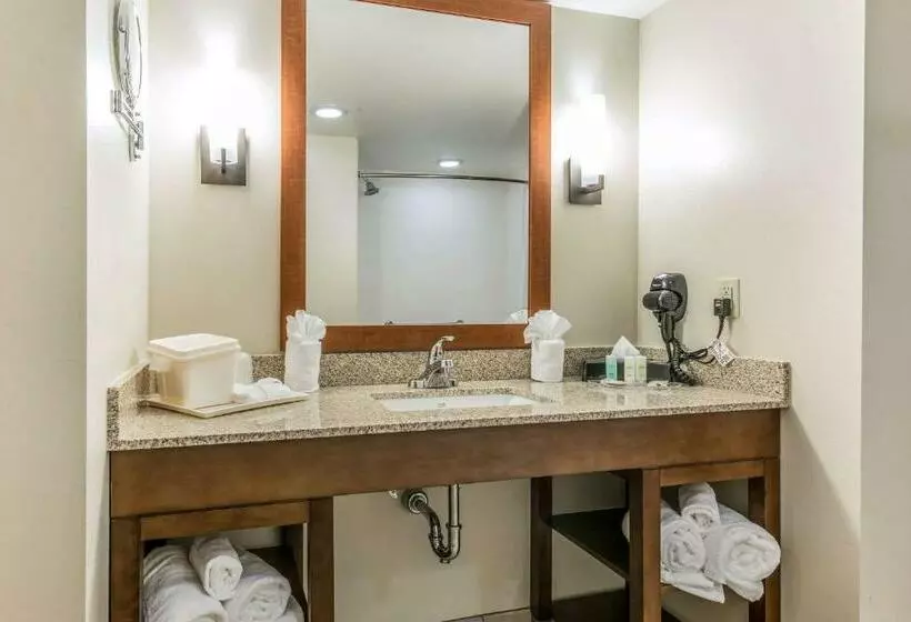 スイート, Comfort Suites Dunnellon Near Rainbow Springs