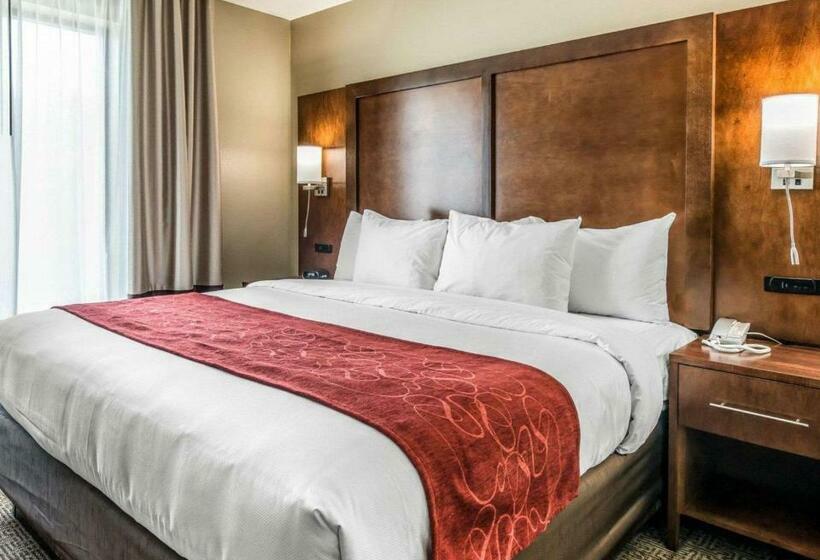 جناح سرير كينج, Comfort Suites Dunnellon Near Rainbow Springs