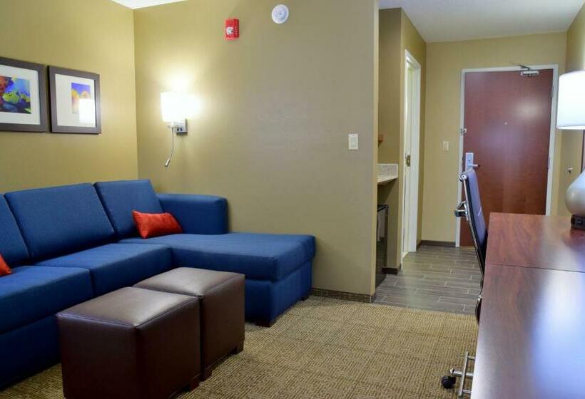 스위트, Comfort Suites Dunnellon Near Rainbow Springs