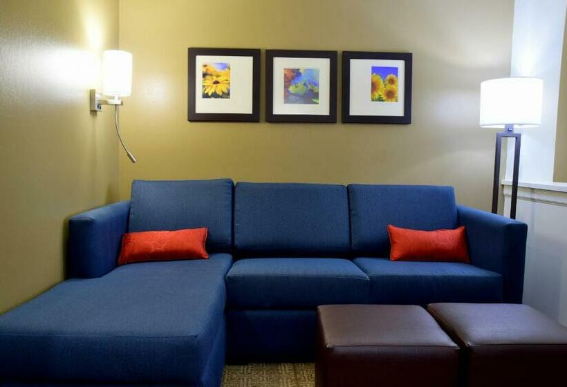 جناح, Comfort Suites Dunnellon Near Rainbow Springs