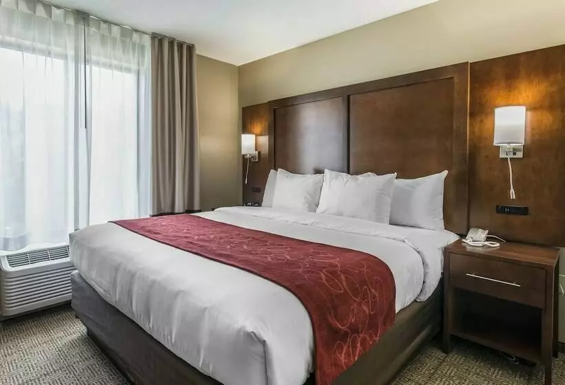 スイート, Comfort Suites Dunnellon Near Rainbow Springs