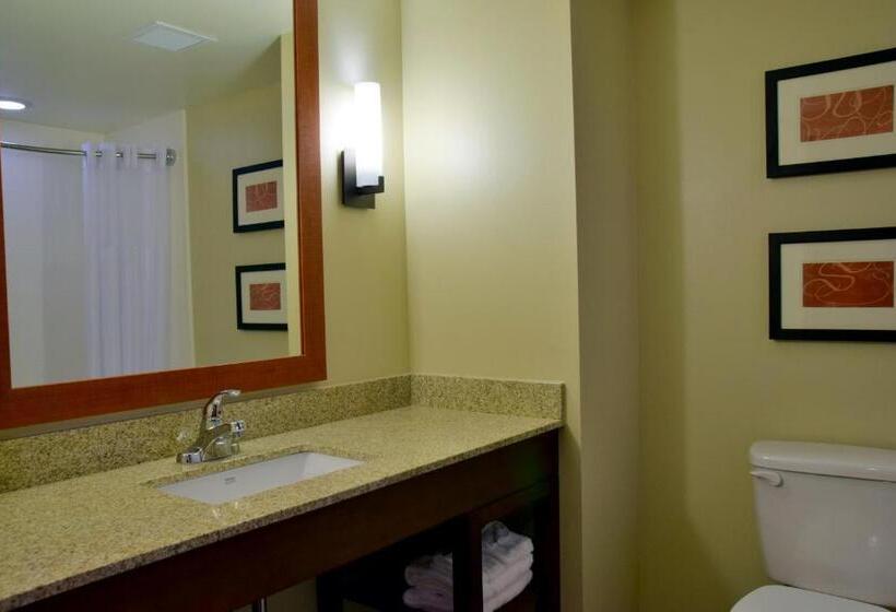 جناح, Comfort Suites Dunnellon Near Rainbow Springs
