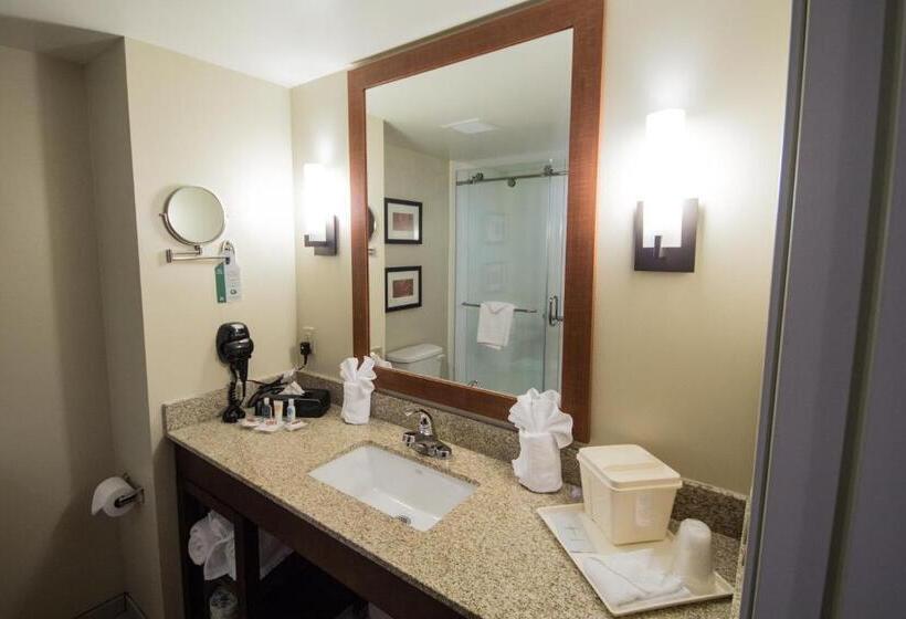 جناح لذوى الاحتياجات الخاصة, Comfort Suites Dunnellon Near Rainbow Springs