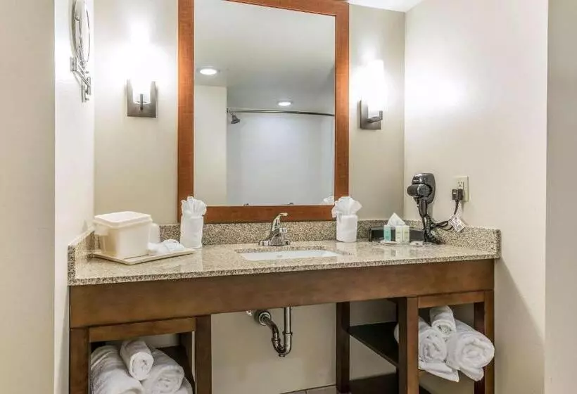 身障者適用スイートルーム, Comfort Suites Dunnellon Near Rainbow Springs