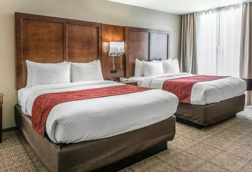 身障者適用スイートルーム, Comfort Suites Dunnellon Near Rainbow Springs